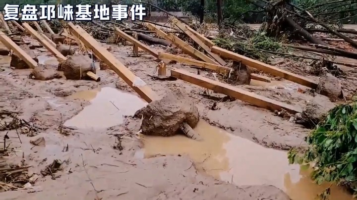 牙牙遇到百年难遇的洪水，基地冲没了，房子没了，剩下木头
