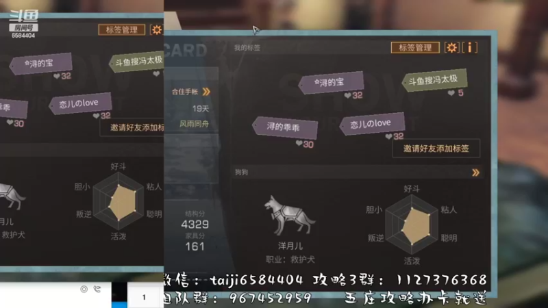 【2022-10-31 22点场】中华田园冯太极：果壳岛<涂山散仙>营地收人