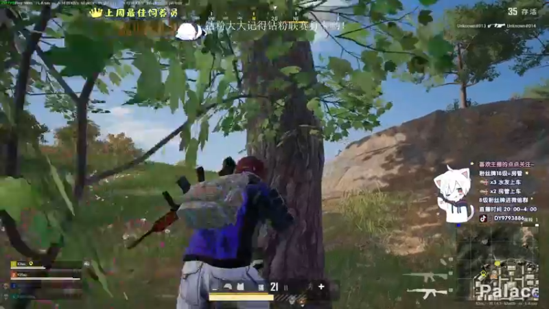 【2022-10-28 22点场】小徐813：轻语集团 大师五百强kd6.6