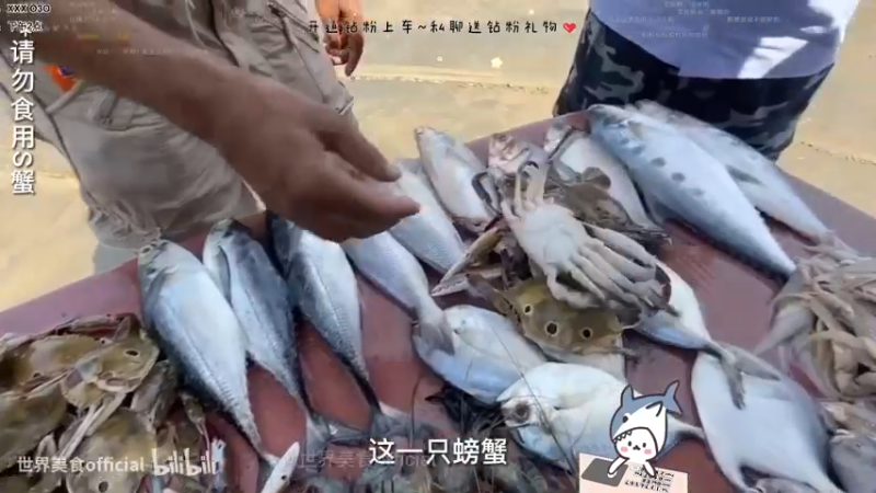 【2022-10-31 19点场】宝贝鱼O3O：哈 来了- -