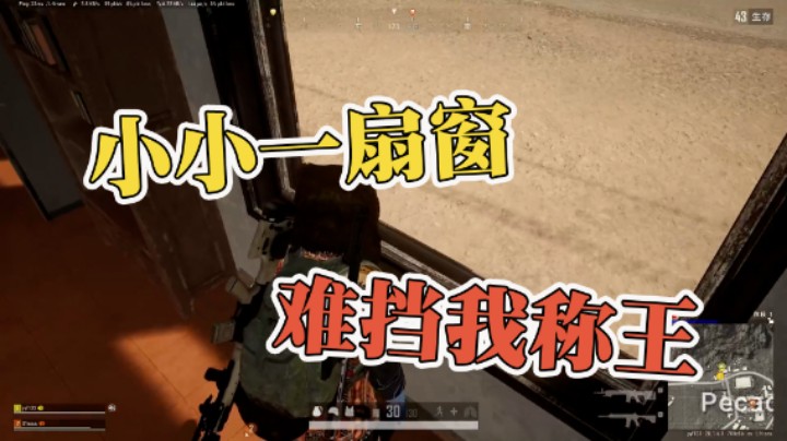 小小一扇窗 难挡我称王