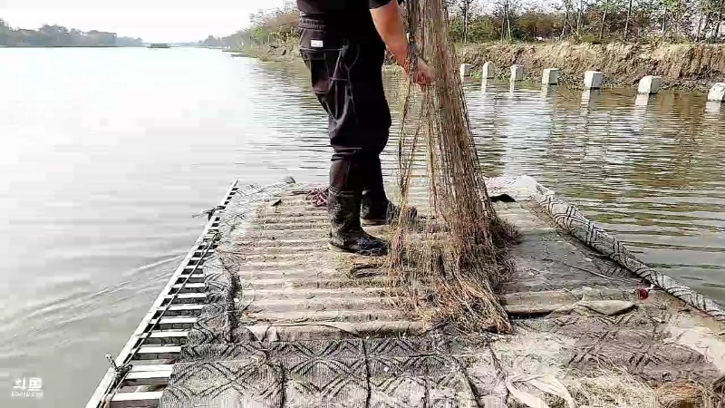 【户外】微山湖捕鱼武工队的精彩时刻 20221101 13点场