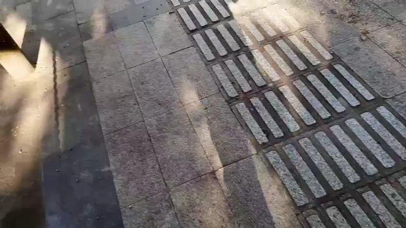 【2022-11-01 09点场】黑哥户外：回农村生活