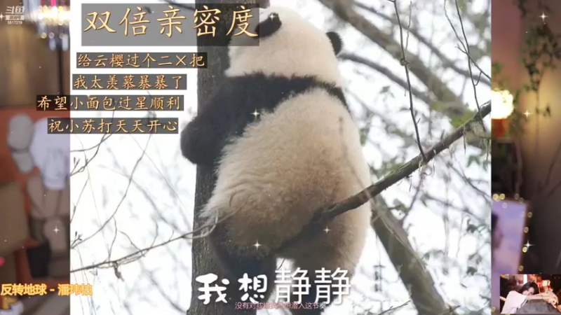 【2022-11-02 13点场】李哥儿DoubleLee：看清我再喜欢我