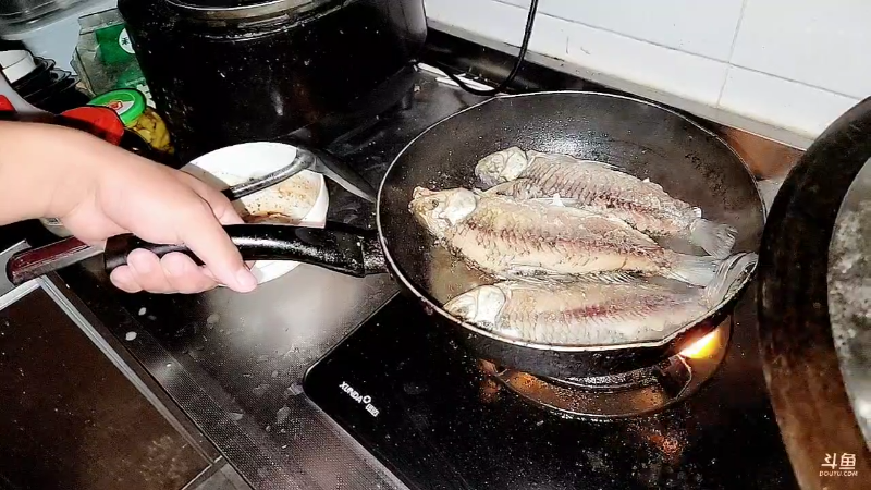 【户外】微山湖捕鱼武工队的精彩时刻 20221102 18点场