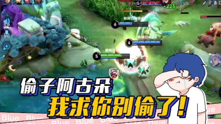 我求求你别偷了，家里的野都没打~