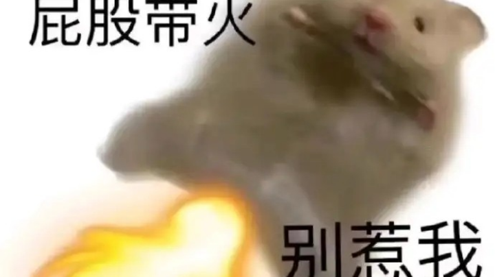 散排奶秀