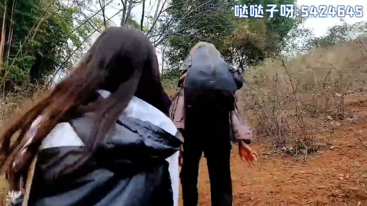 浩哥和哒哒等人到悬崖村，这里的房子没人住了啊