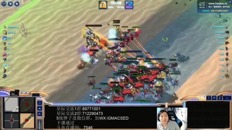 【2022-11-03 00点场】igmacsed：酒馆，星际，开饭,DOTA,加班