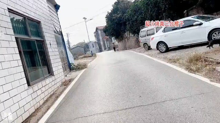 美女橙子在农村和狗子散步，在路边捡红枣和板栗吃