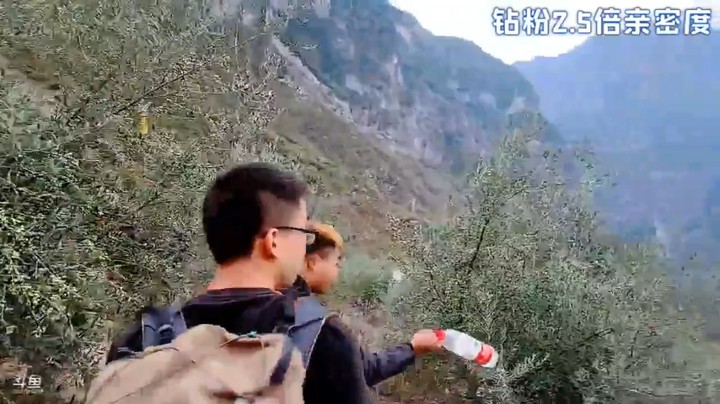 浩哥等人千辛万苦爬上悬崖村发现就一个放羊的，其他都是直播同行