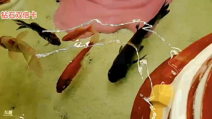 牙牙明天要去考驾照，大家说明天日子不好，必挂