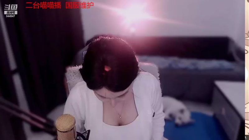 【2022-11-03 03点场】山东棋王弈哥：喵喵来了！！