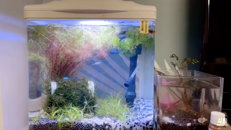 【2022-11-03 23点场】主播阿郎：坐等电脑拆机