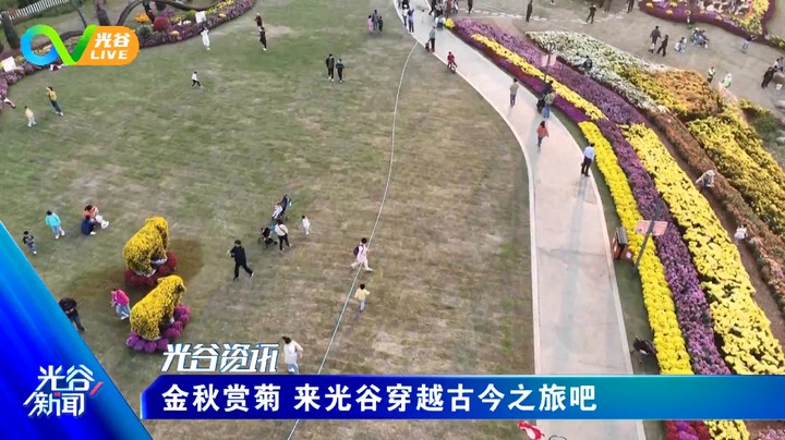 20221104光谷新闻周五版