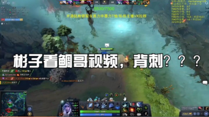 彬子看鲷哥视频，背刺？？？