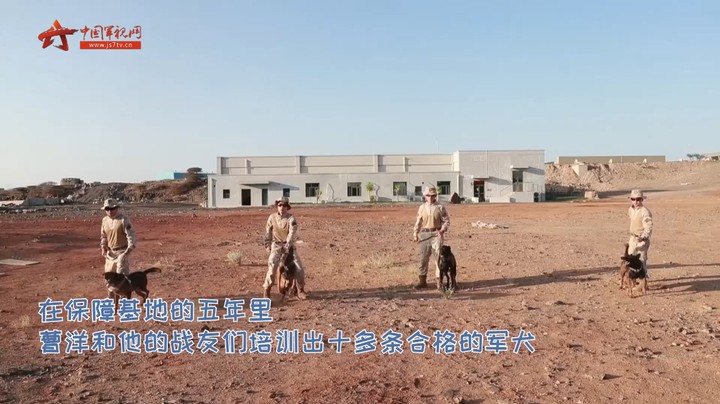 军视Vlog｜我在吉布提训军犬 首批海外保障基地训导员与军犬的一天
