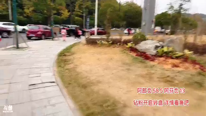 【2022-11-04 17点场】主播阿郎：2点开始《城市流浪记》途搭生存节目