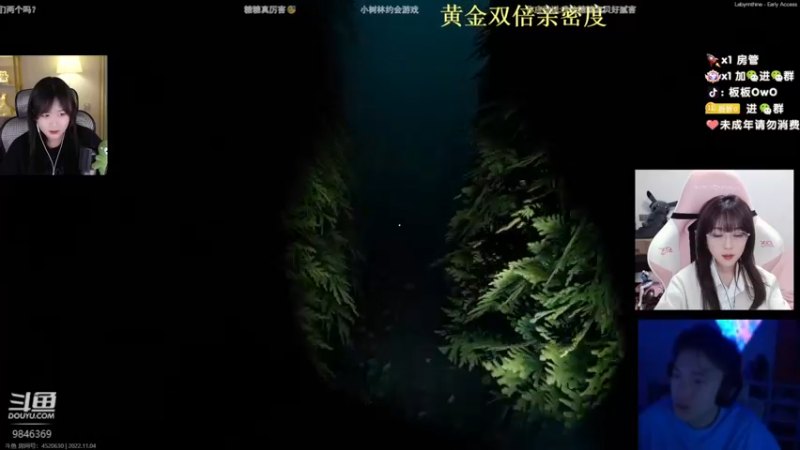 【2022-11-04 04点场】板板OwO：【板板】Tyloo加油 冲冲冲！