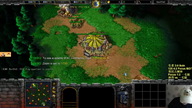 【TED出品】兜比古树杯加赛 一毛饭 vs 冰兽 英雄哪里跑