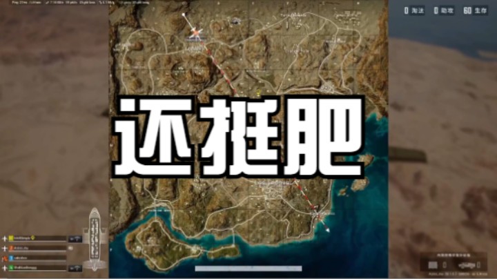 还挺肥