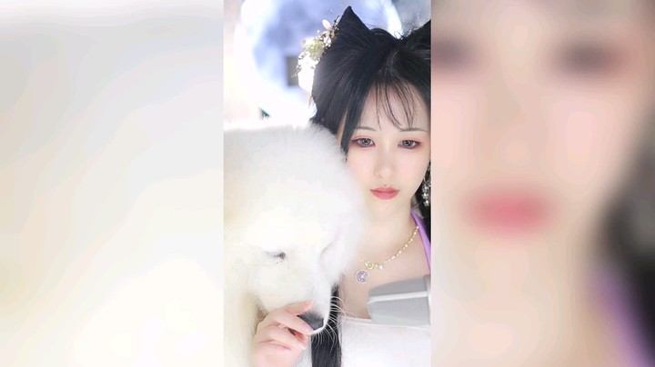 日常撸狗