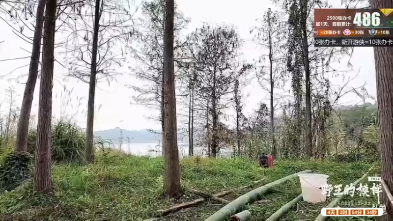 【2022-11-05 10点场】川味箩卜：《野王的模样》Day3