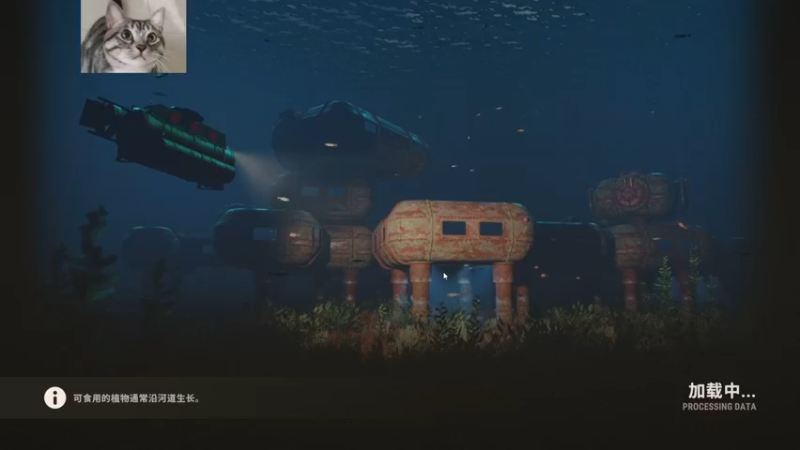 【2022-11-04 23点场】SAYA丶J：宝鸡邢道荣