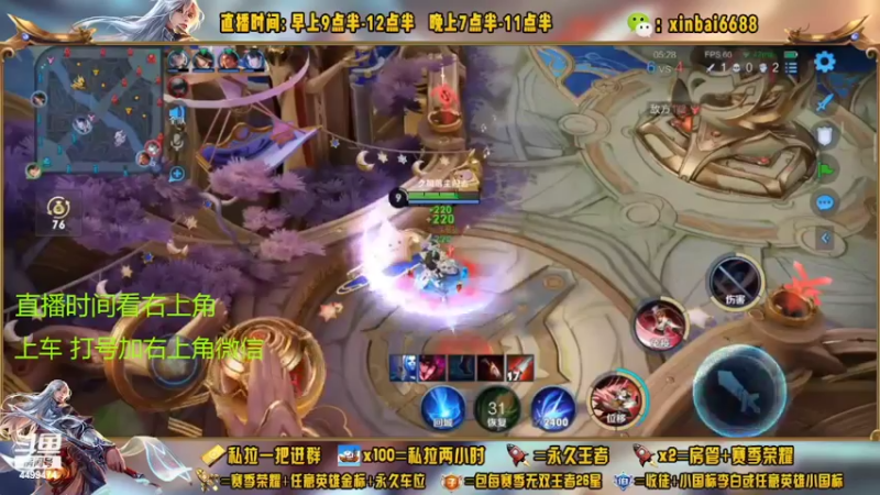 【2022-11-05 07点场】信白丶李白导师：国服李白 巅峰教学屠杀