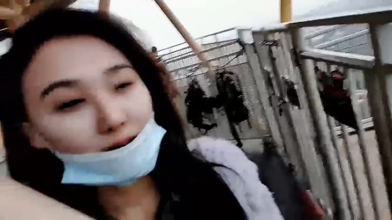 【2022-11-05 17点场】赛文柒Seven：去相亲交友[黄金三倍卡]