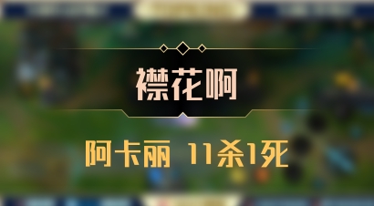 【襟花啊】阿卡丽 11杀1死