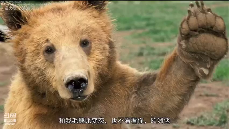 【2022-11-06 08点场】了不起我的国：解放军神器哪里来，第聂伯河找二毛！