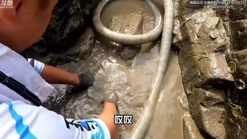 【2022-11-06 02点场】胖胖灬：胖胖OB：坐等6号决赛+转会期