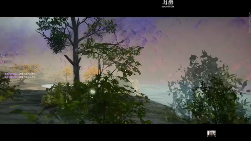 【2022-11-05 22点场】解说嘟师傅：官方训练赛T1