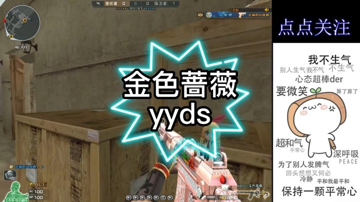 金色蔷薇yyds（1）