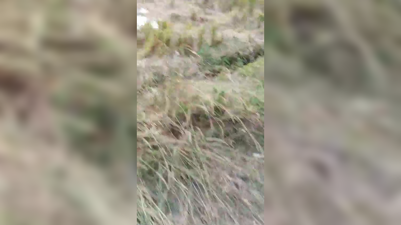 田间搞笑