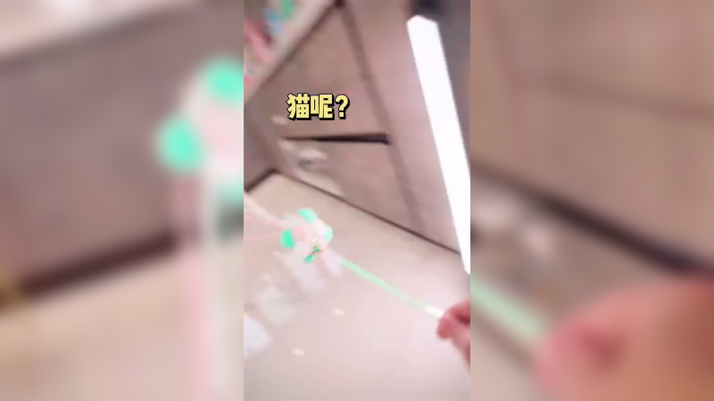 心里藏着小猫咪 天天都会笑眯眯