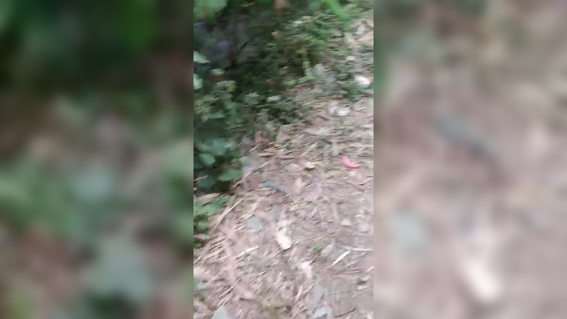田间搞笑