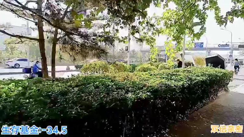 【2022-11-05 14点场】o北京老王o：城市求生。