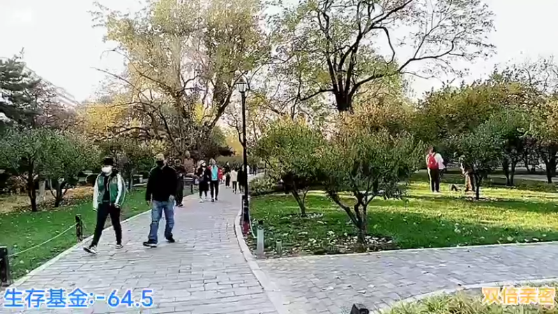 【2022-11-05 16点场】o北京老王o：城市求生。