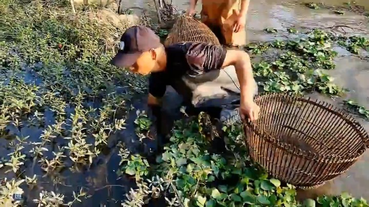 肖哥直播抓鱼，抓鱼上货了，大家说吃不完啊