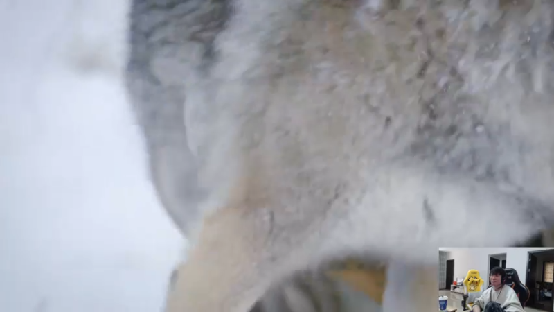 【2022-11-07 14点场】余小C真的很强：余小C：双倍亲密度，650分冲750分！