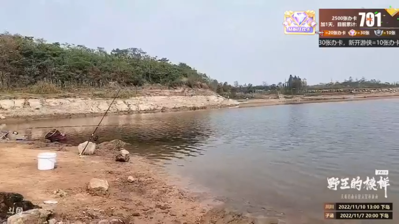 【2022-11-07 12点场】川味箩卜：《野王的模样》Day5