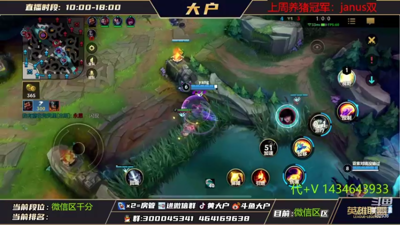 【2022-11-03 11点场】大户呀：猫猫专场！人丛中取敌将首级