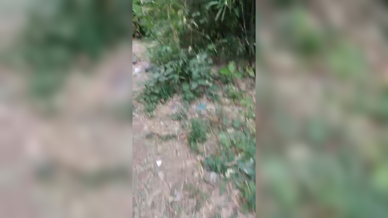 田间搞笑