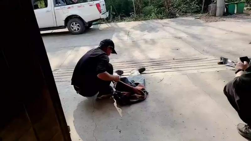 【2022-11-07 14点场】洪湖小肖：今天3点开