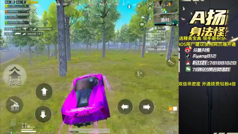 【2022-11-07 20点场】A扬丷：《开精英手册兑皮肤》