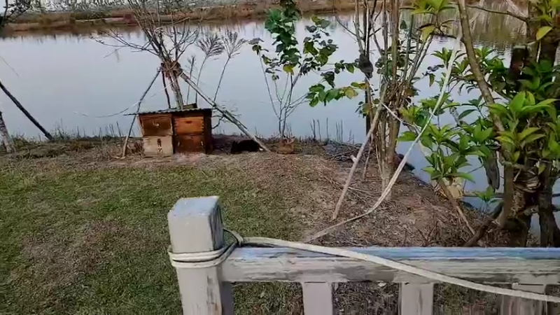 【2022-11-07 16点场】洪湖小肖：今天3点开