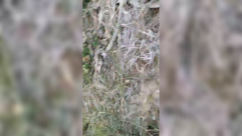 田间搞笑