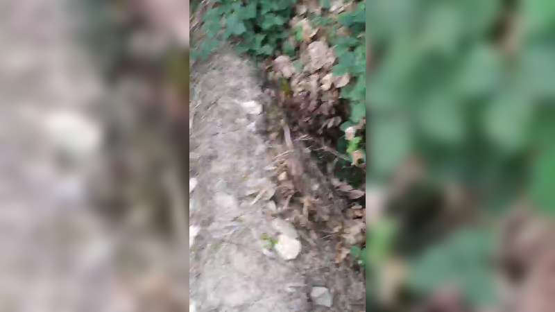 田间搞笑
